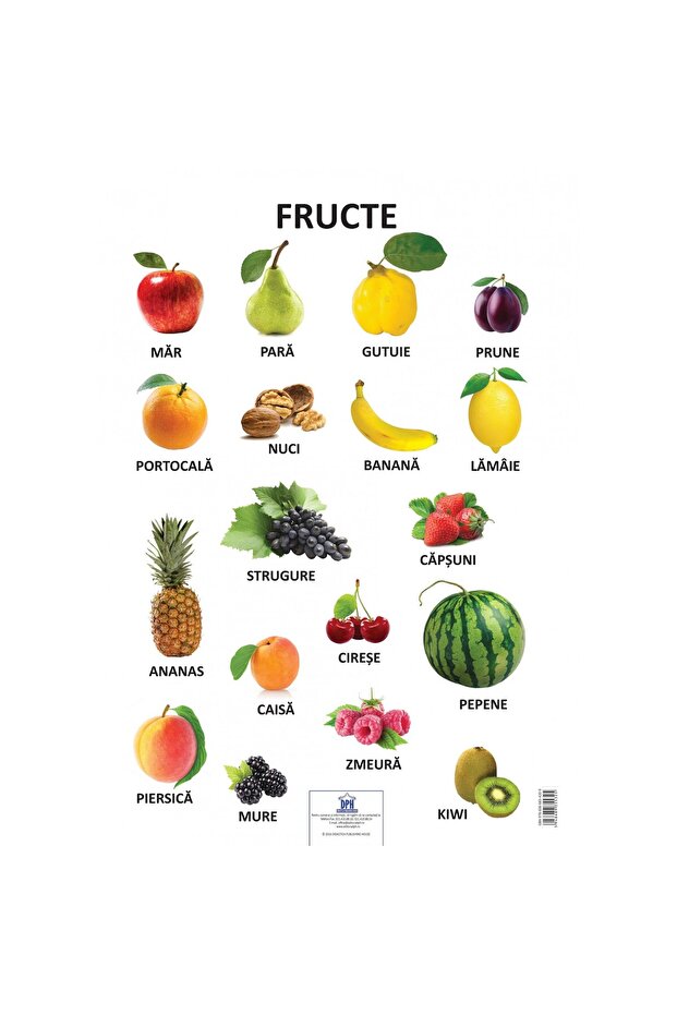 Plansa - Fructe - 1