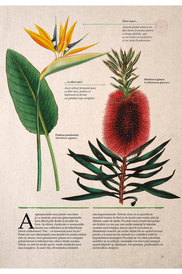 Illustrated botany - 5