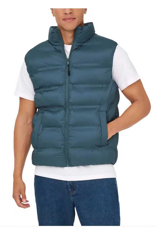 Vesta Puffer - 1