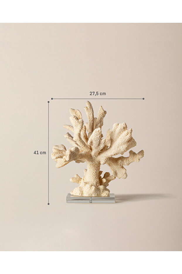 Beatrice Biblo - Krem - 6