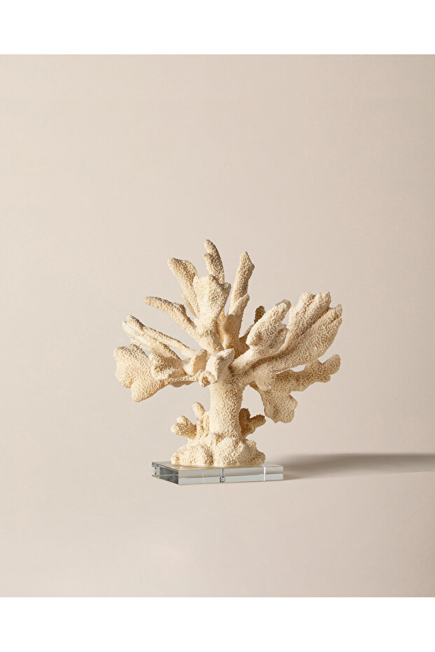 Beatrice Biblo - Krem - 2