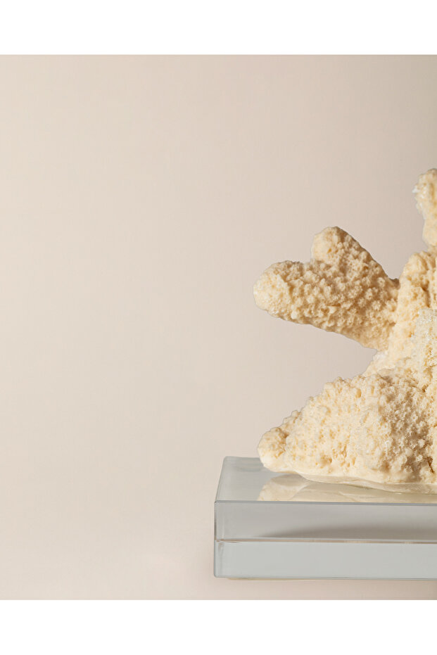 Beatrice Biblo - Krem - 4