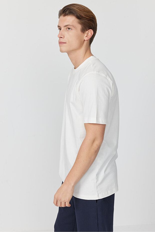 Erkek Basic T-shırt - 4