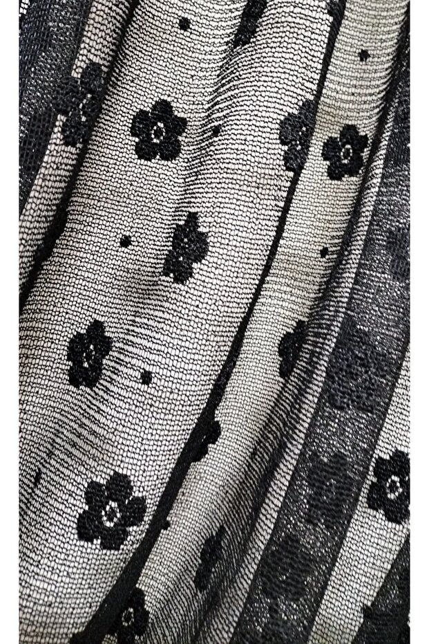 ستارة خلفية - 2