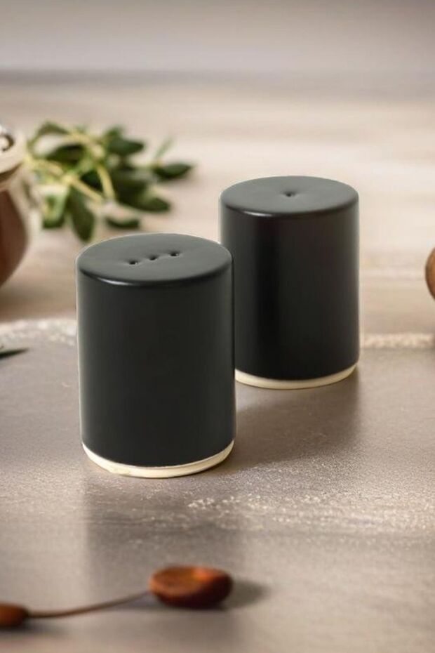 Stylish Matte Black Porcelain Salt and Pepper Shaker Set