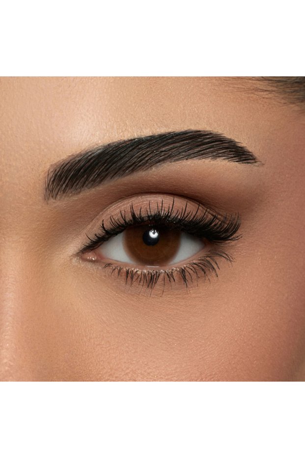 Biscuit Monthly Disposable Contact Lenses, Color Contact Lenses, Brown Contact Lenses, Pack Of 2