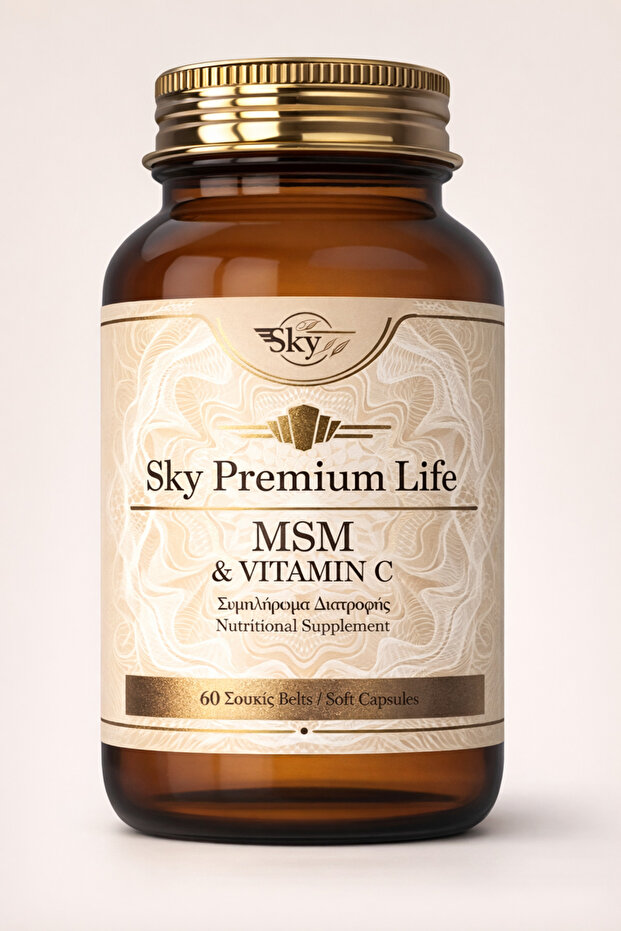 SKY PREMIUM MSM W/ VITAMIN C TAB 60S