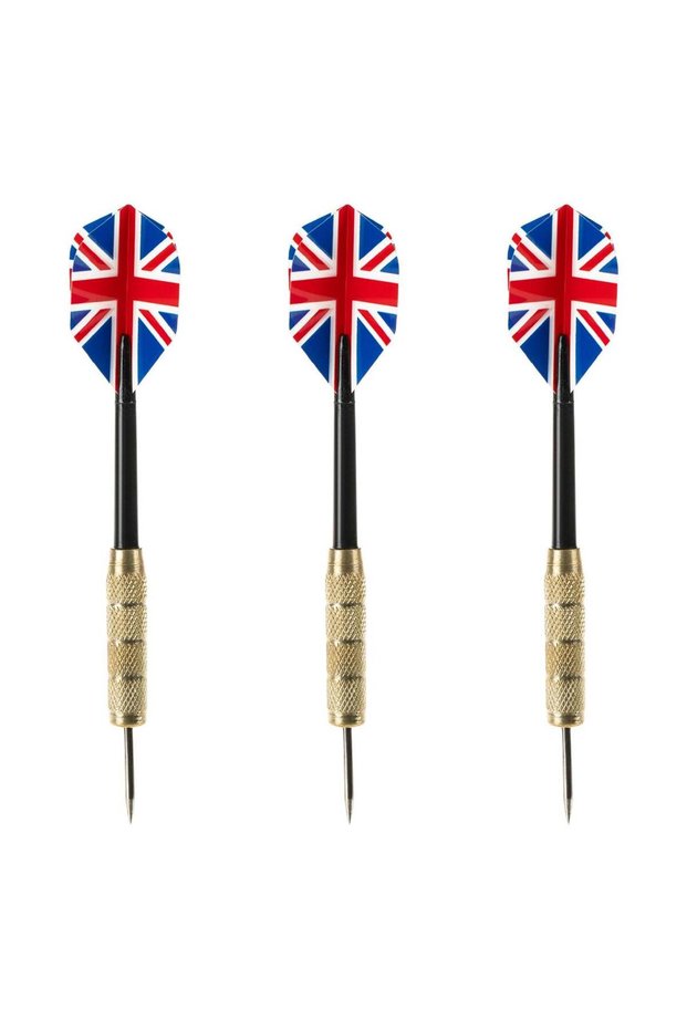 Darts with Case for Darts Game - 3pcs