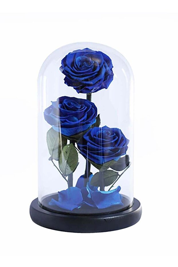 Preserved Forever Blue Rose in Luxury Glass Dome