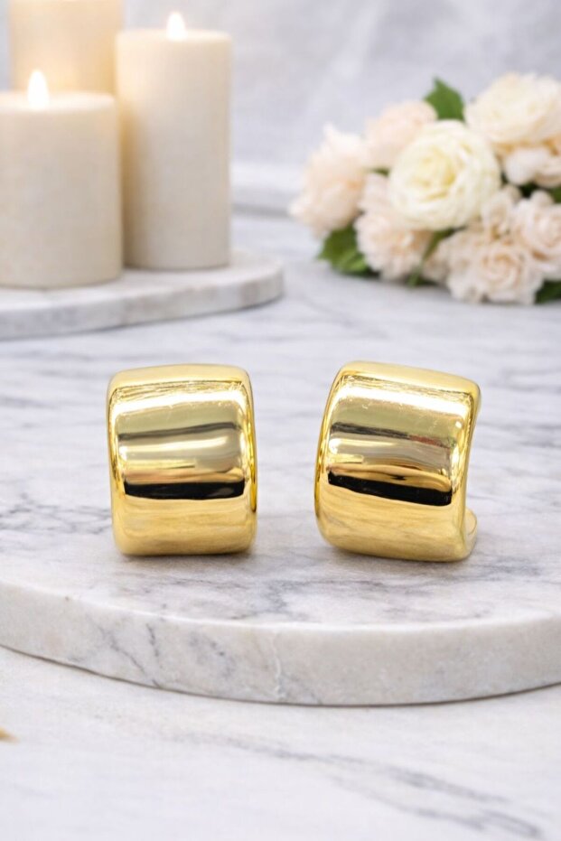 Gold Color Curved Hoop Steel Earrings