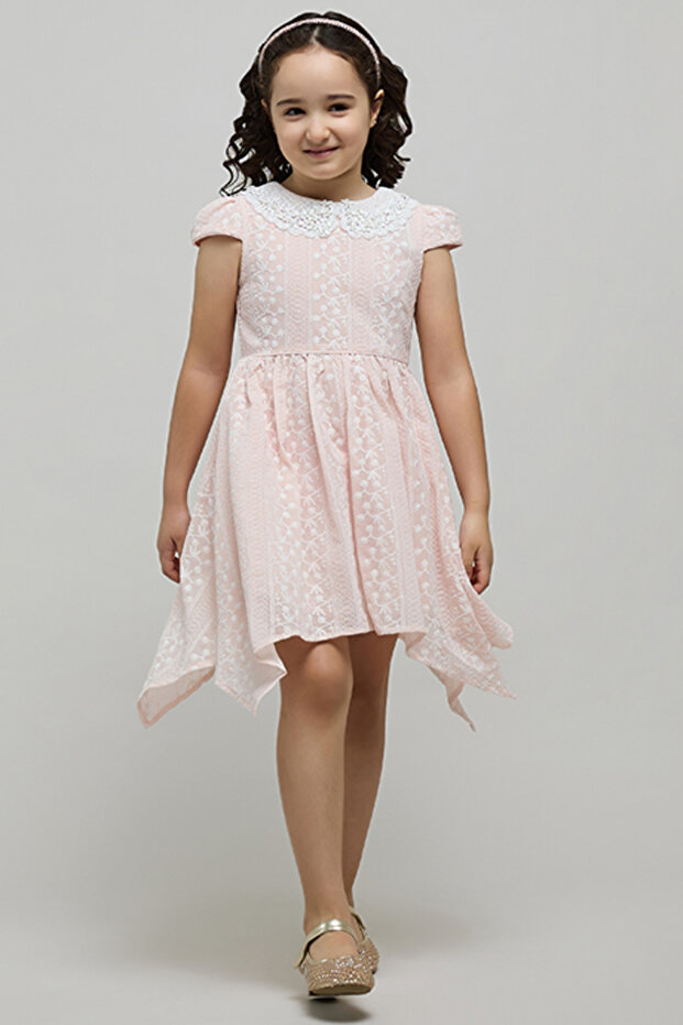 Girl's Pink Embroidered Dress with Peter Pan Collar and Cap Sleeves