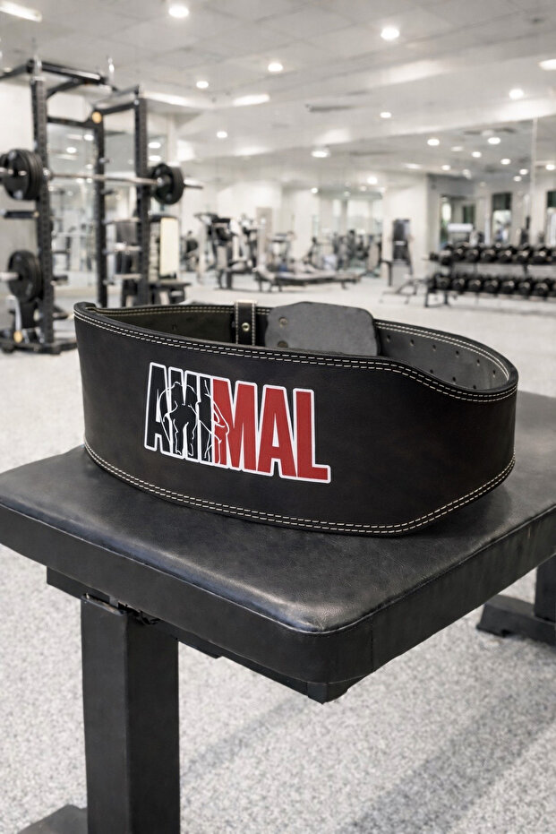 Weight Belt Red Anımal (Unisex/110Cm)
