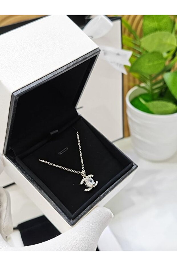 سلسال مع تعليقة - 2