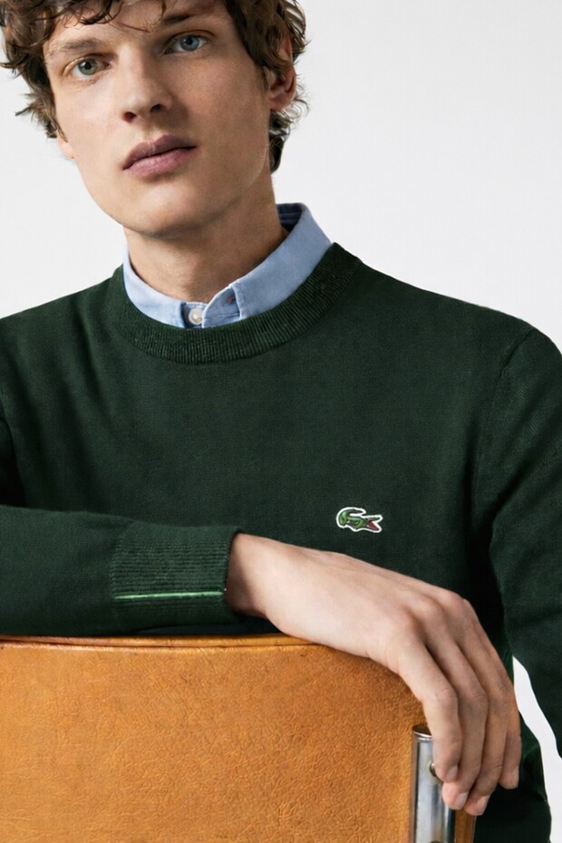 Men's Regular Fit Crew Neck Dark Green Crew Neck Organic Cotton Sweater Dark Green