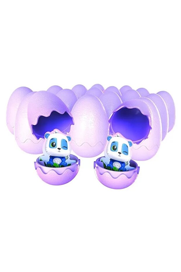 JOC HATCHY MATCHY - 4