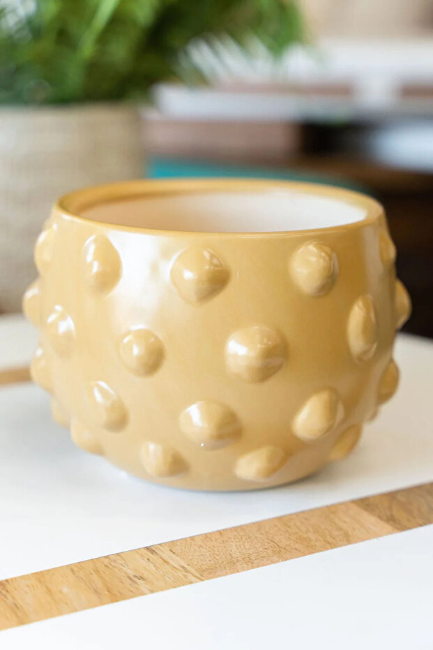 Terra Cotta Saksılık - 2