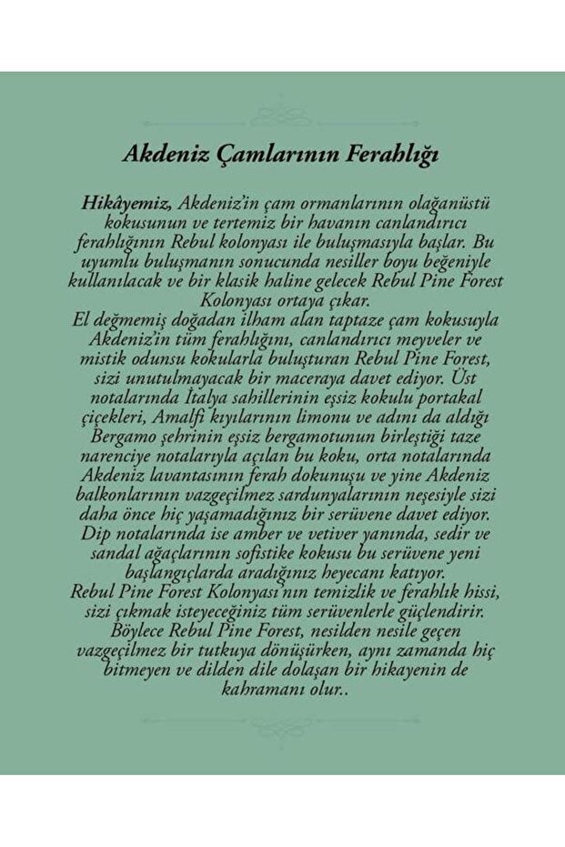 Pine Forest Edc 50 Ml Kolonya - 3