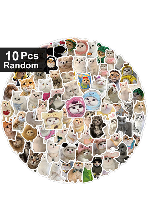 10pcs random 10/500/1000pcs Funny Cute Cat MEME Animals Stickers Kawaii Decals Scrapbooking Notebook