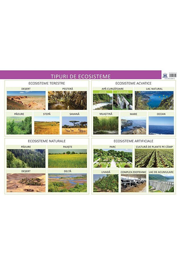 Tipuri de ecosisteme - 1