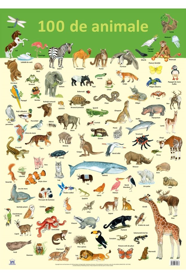 Picture - 100 animals