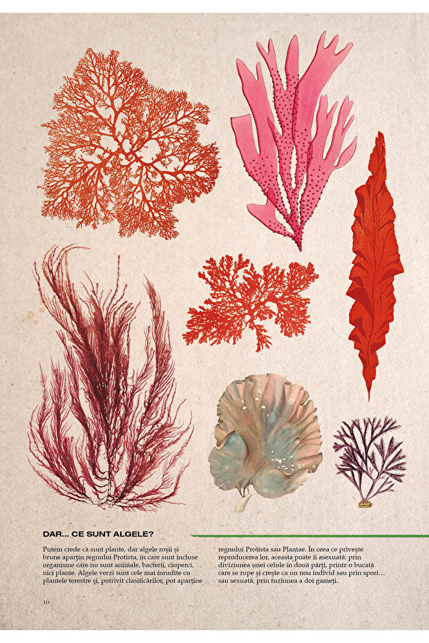 Illustrated botany - 3