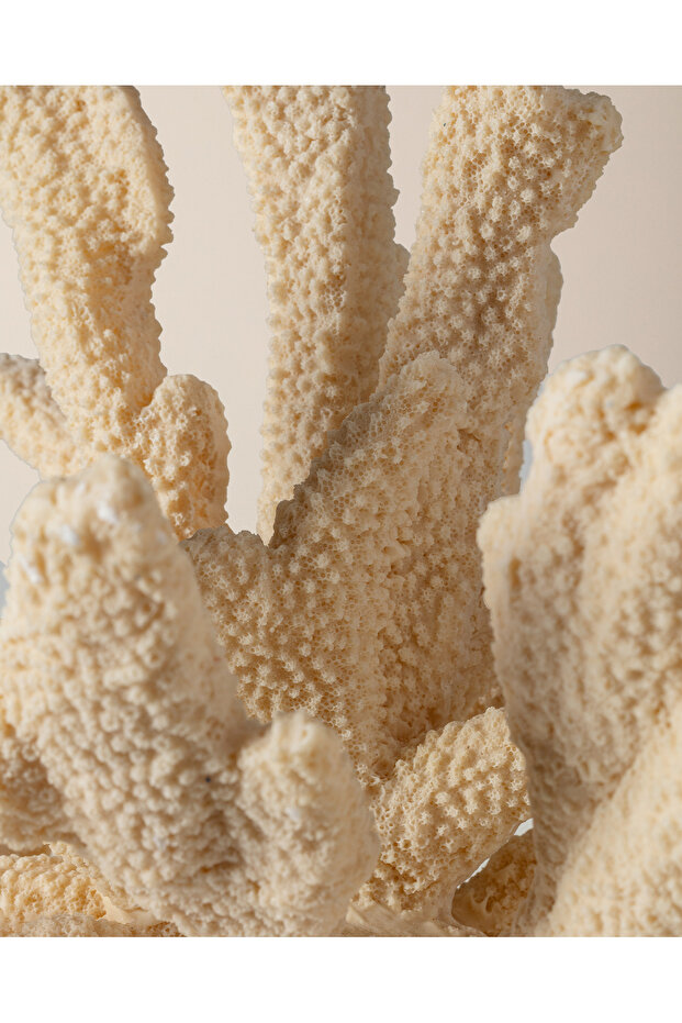 Beatrice Biblo - Krem - 5