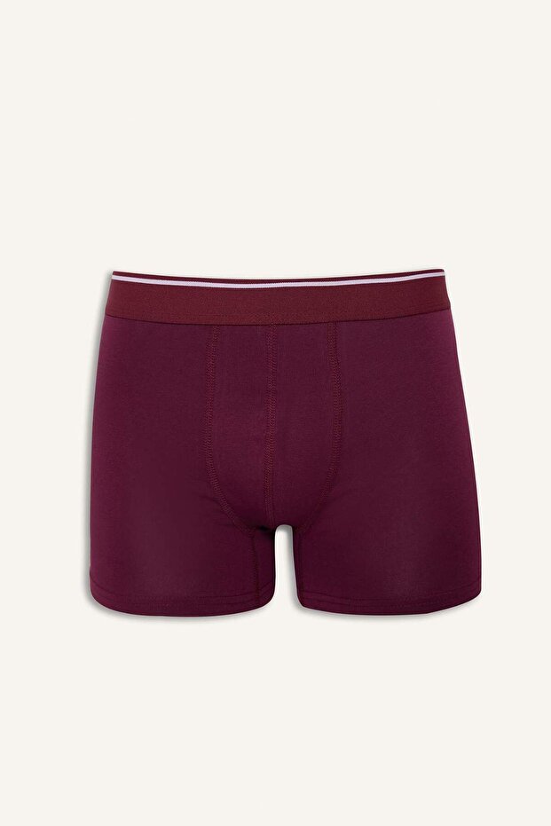 Regular Fıt 3lü Boxer G4058AX26SP - 2