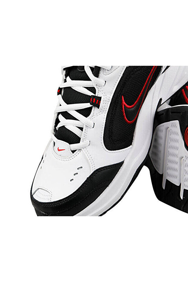 AIR MONARCH IV - 7