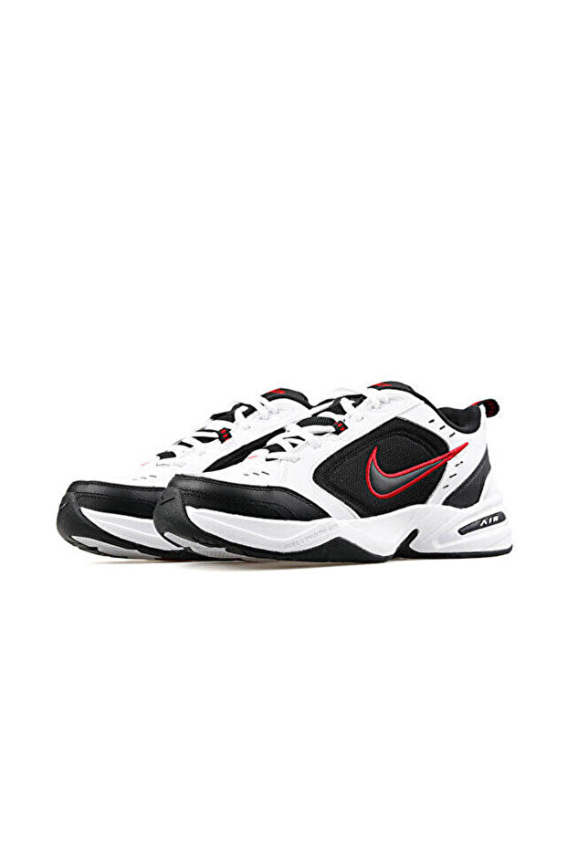 AIR MONARCH IV - 3