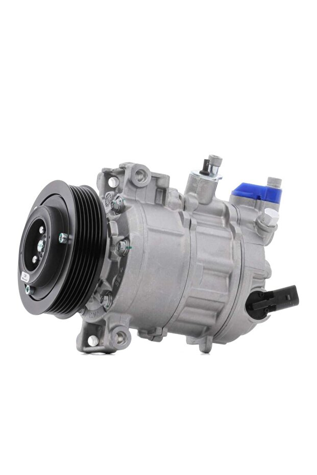 Two-roller air conditioner compressor - 2