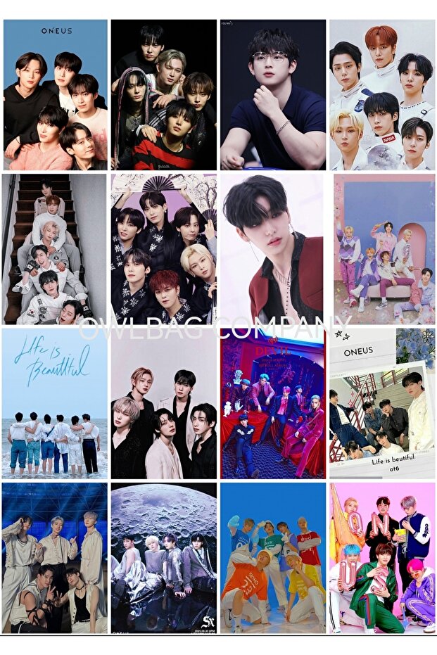 Owl Bag Oneus Group Patterned Design 16-Piece Photo Card Set