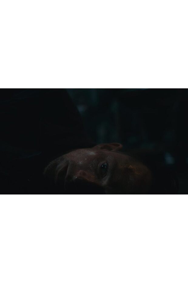 Dead Reset for PS5 - PlayStation 5 - New Original - 4