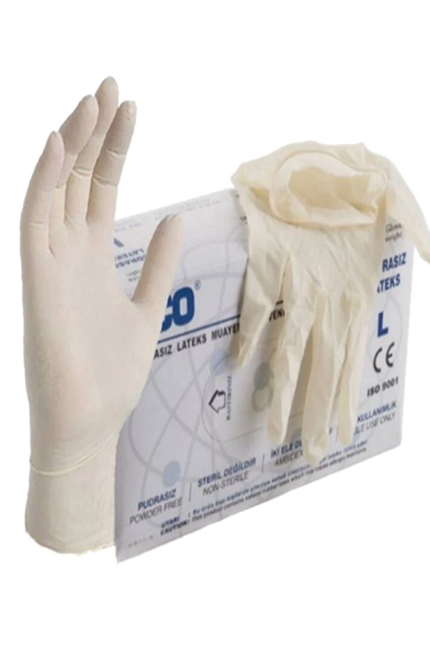 Eco Non Sterile Latex Powder-Free Examination Gloves L (Pack of 100)