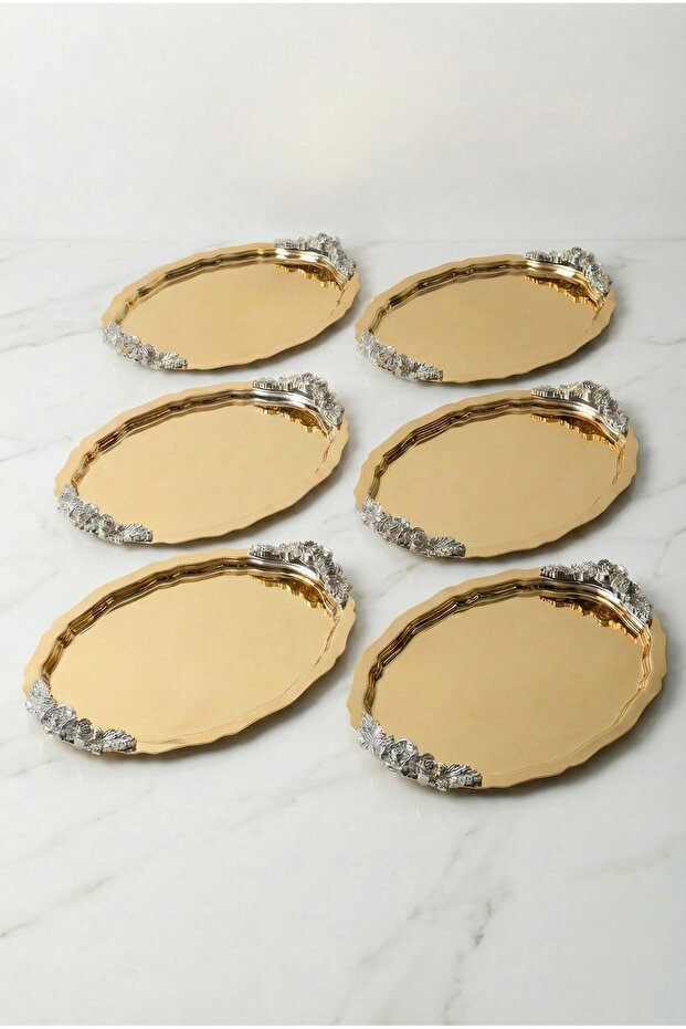 Azak Gold 6-Piece Stainless Steel Oval Silver Handle Coffee Presentation Tray Serving Decorative Tray