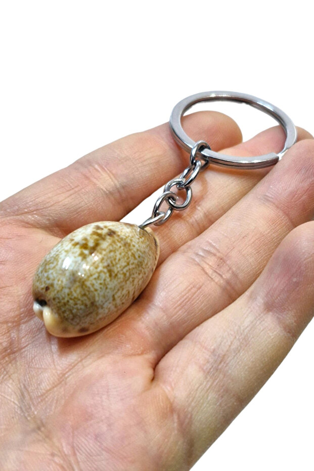Sea Shell Keychain Cowrie Shell 310