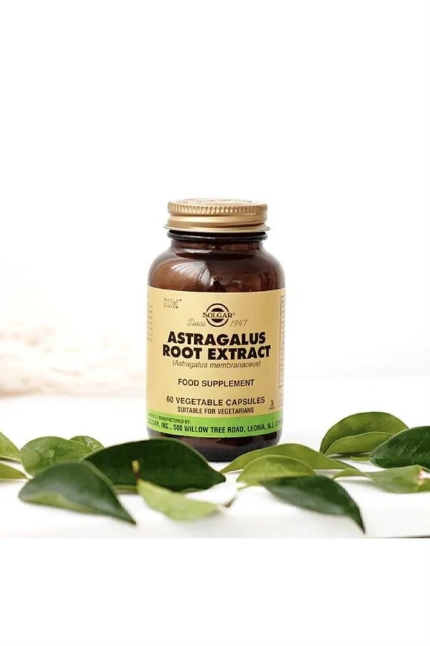 Astragalus Root Extract 60 Kapsül 3 Adet - 3