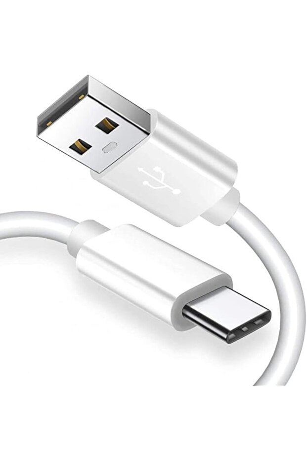 High-Speed Data Sync and Charging Cable - 1