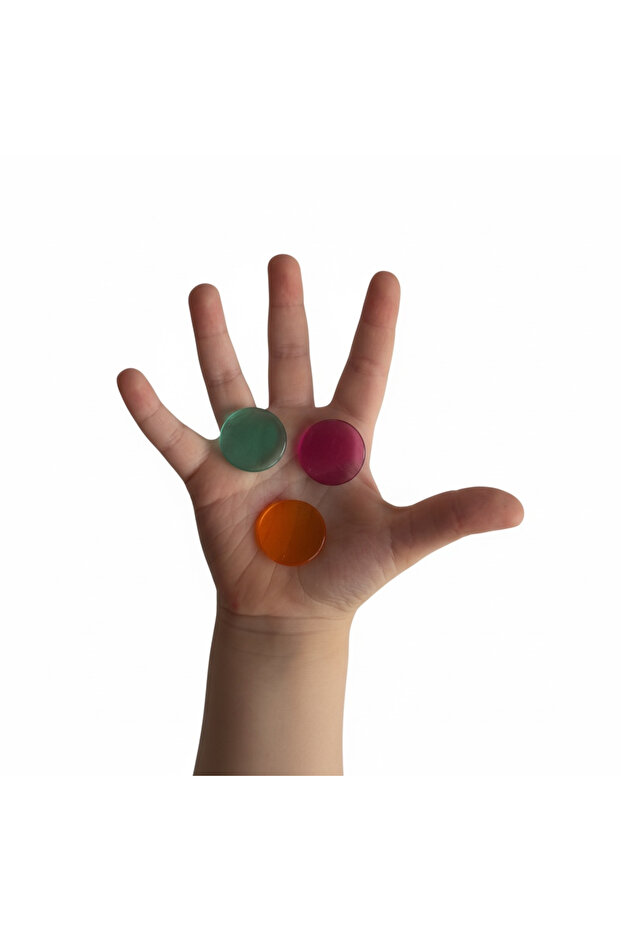 Renkli Sayma Pulları - 2