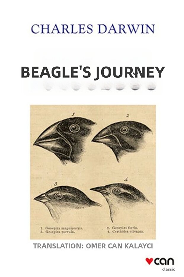Beagle'ın Yolculuğu