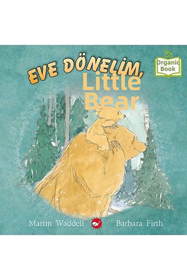 Eve Dönelim, Küçük Ayı