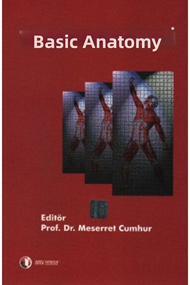 التشريح الأساسي - 1