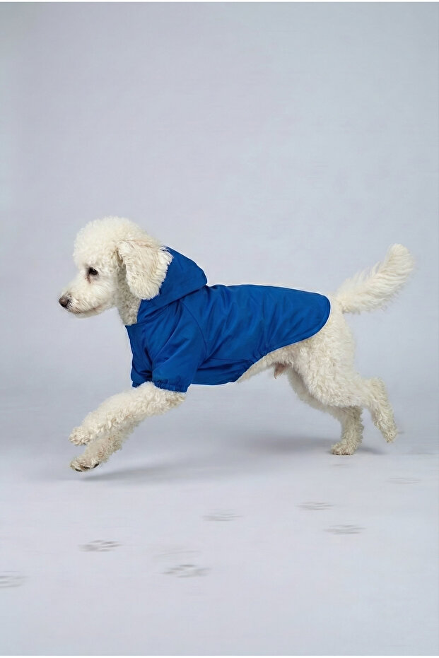 معطف واق من المطر شبكي أزرق - 2