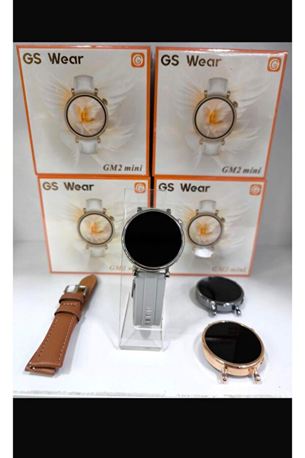gm2 mini - 1