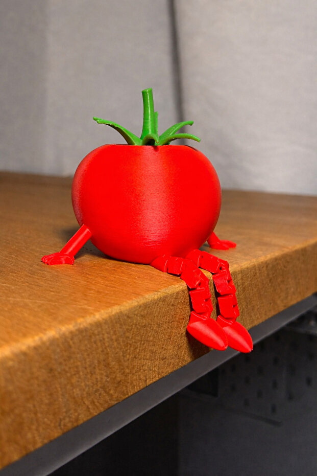 3D Domates Biblo - 1