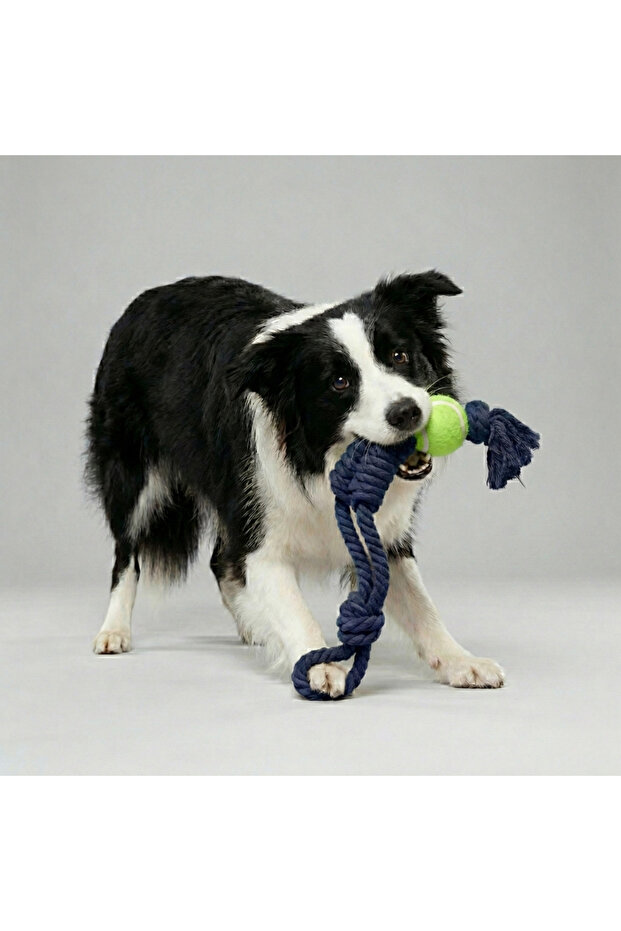 Tennis Ball Dog Tug Toy with Rope Handle