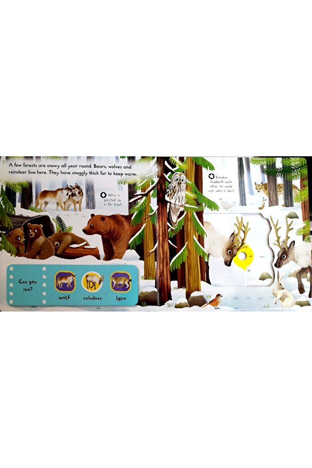 First explorers Snowy Animals - 3