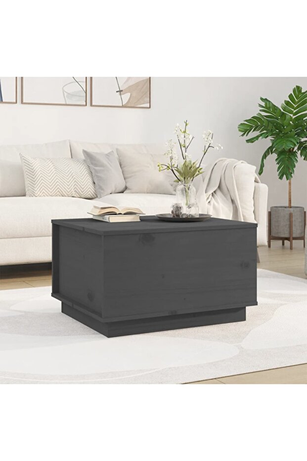 Coffee table, gray, 60x50x35 cm, solid pine wood - 1