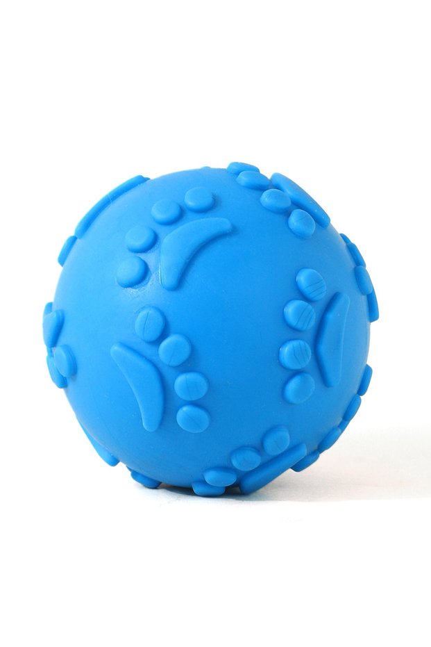 Blue Dogs Interactive Toys Soft TPR Toys for Dog Pet Teeth Cleaning Bite Resistance Squeaky Dog Ball