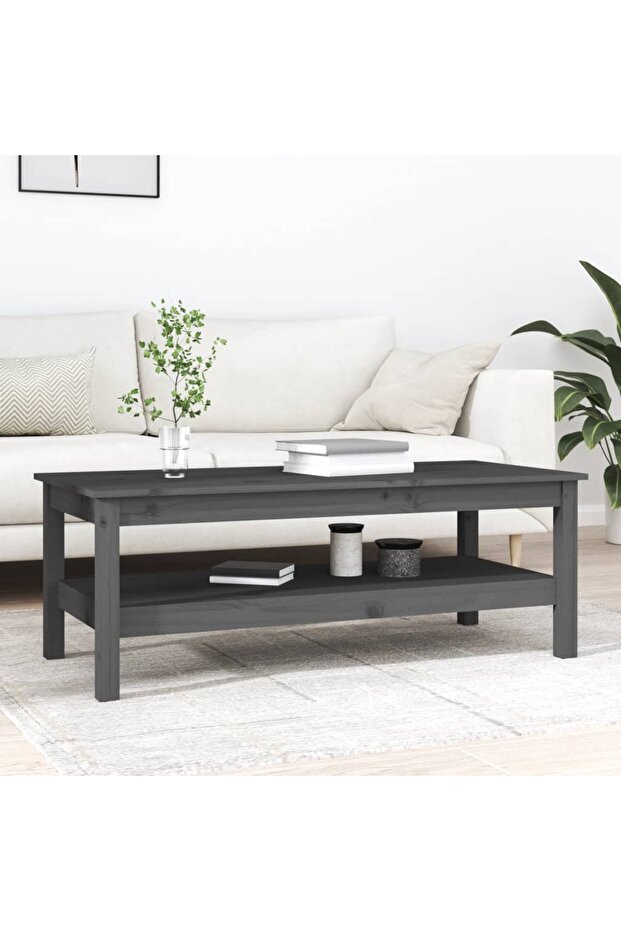 Coffee table, gray, 110x50x40 cm, solid pine wood - 1