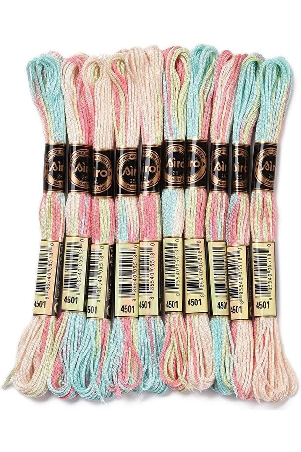 AECH06-15550 10 Skeins 875 Yards Embroidery Floss Bulk Variegated Thread 6 Strands Colorful Friendsh